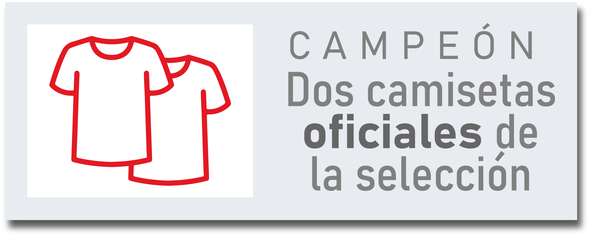 Campeón: dos camisetas oficiales de la selección